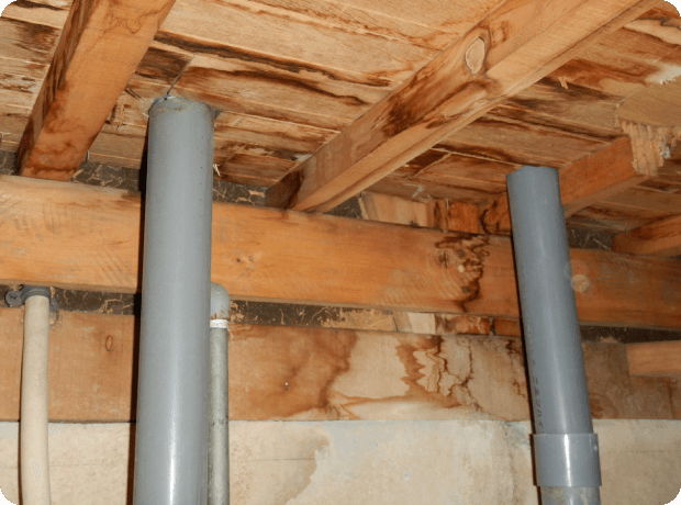 住宅設備からの漏水